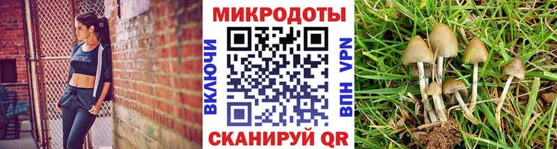 Галлюциногенные грибы Cubensis  Тамбов 