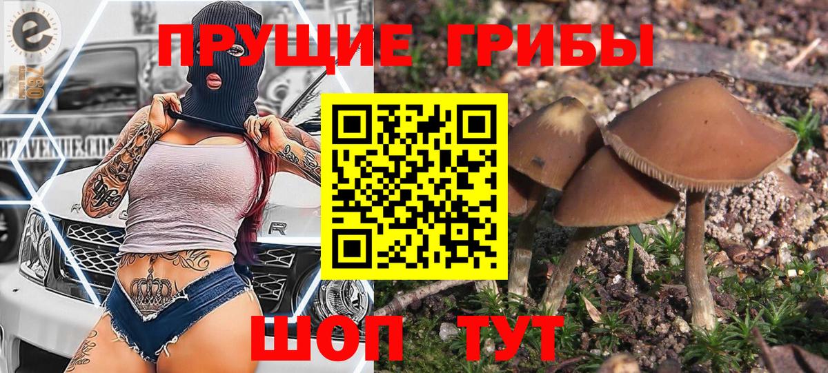 Галлюциногенные грибы ЛСД  Вход с VPN  Тамбов 